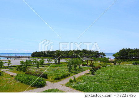 一色漁港交易廣場 78222450