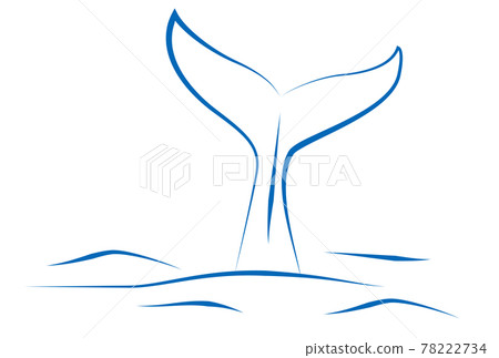 Illustration of the whale's tail line Illustration of the whale's tail line 78222734