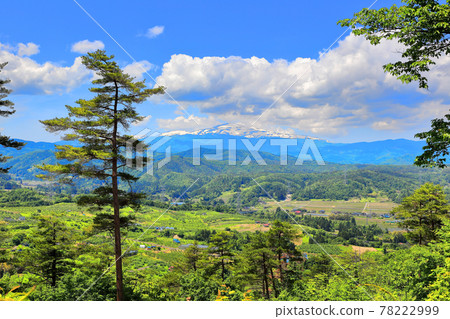 View from Oyama Nature Park management, etc. 78222999