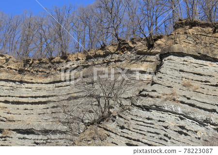 Scenery of Yobake in Ogano Town, Chichibu District, Saitama Prefecture 78223087