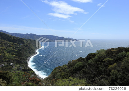 伊豆半島的西伊豆海岸線 78224026