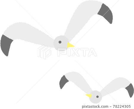 兩隻海鷗的插圖，簡單可愛的蠟筆觸感 78224305