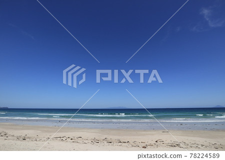 伊豆半島東伊豆的白濱海灘和外浦海灘 78224589