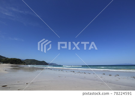 伊豆半島東伊豆的白濱海灘和外浦海灘 78224591