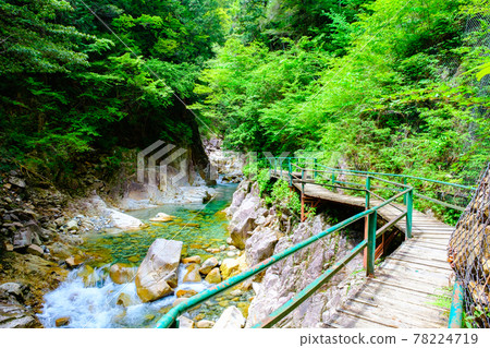 加基河谷 78224719