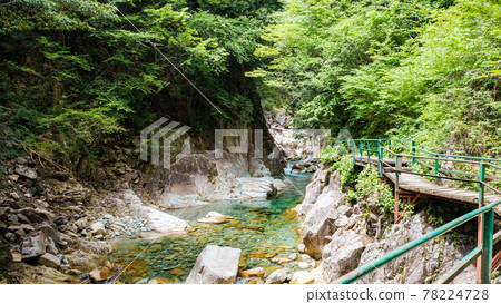 加基河谷 78224728