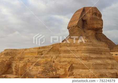 Close-up of Great Sphinx of Giza in Cairo, Egypt Close-up of Great Sphinx of Giza in Cairo, Egypt 78224879