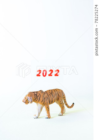 Tiger miniature and acrylic plate 2022 Tiger miniature and acrylic plate 2022 78225274