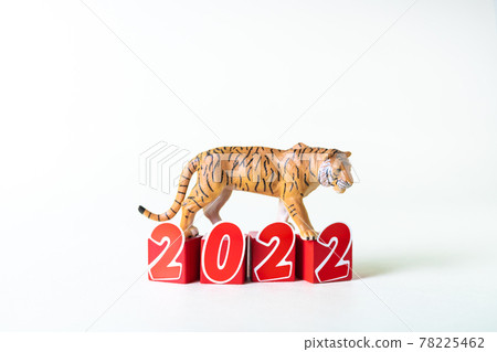 Tiger miniature and character block 2022 Tiger miniature and character block 2022 78225462