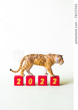 Tiger miniature and character block 2022 Tiger miniature and character block 2022 78225502