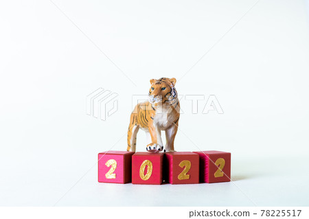Tiger miniature and character block 2022 78225517