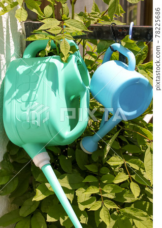 Watering can, gardening, daily necessities, daily necessities, gardening, watering, water, tools Watering can, gardening, daily necessities, daily necessities, gardening, watering, water, tools 78225686