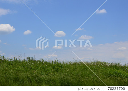 八王子里山、高月稻田 78225700