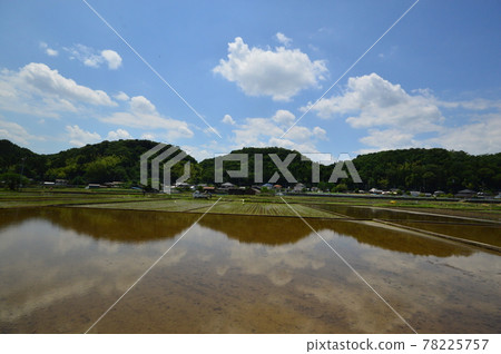 八王子里山、高月稻田 78225757