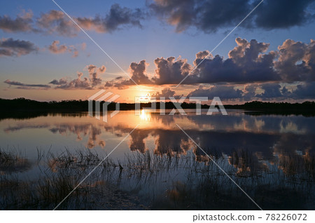Colorful sunrise over Nine Mile Pond in Everglades National Park, Florida. 78226072