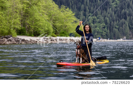 Adult Caucasian Adventure Woman on a paddle board with boxer dog 78226620