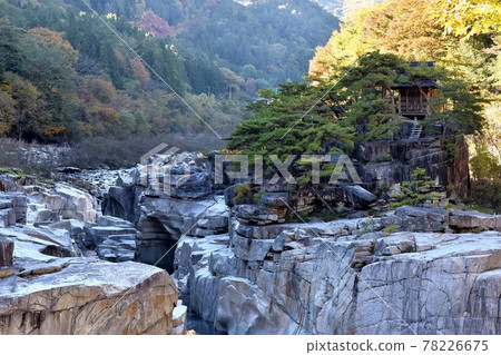 Kamimatsucho睡覺的地板 78226675