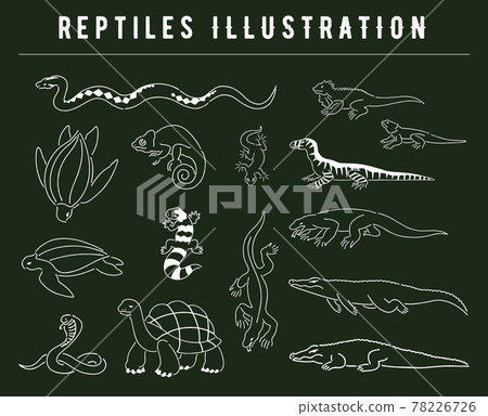 Illustration set of various hand-painted reptiles Illustration set of various hand-painted reptiles 78226726