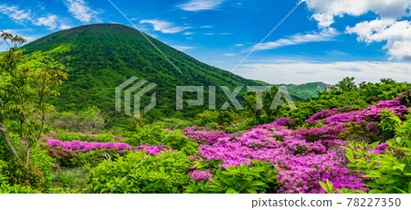 新鮮的綠色霧島山和美山霧島社區 新鮮的綠色霧島山和美山霧島社區 78227350