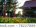 Dusk shrine and dandelions 78227889