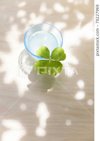 Four-leaf clover in a glass 78227969