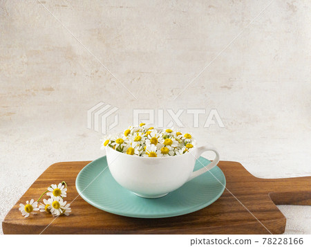 Matricaria on a wooden cutting board Matricaria on a wooden cutting board 78228166