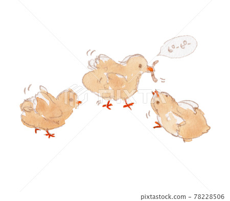 小雞爭奪蠕蟲的水彩插圖 78228506