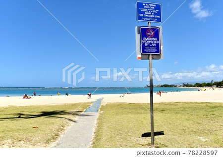 夏威夷的假期 夏威夷的假期 78228597
