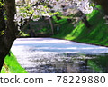 Sakura and flower rafts in Hirosaki Park 78229880