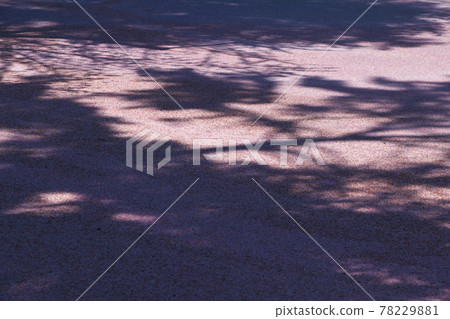 弘前公園的櫻花和花筏 78229881