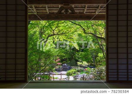 Fresh green of Hokyoin, Kyoto 78230384