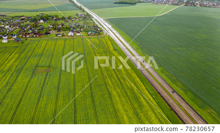 Top view of the sown green in Belarus.Agriculture in Belarus.Texture Top view of the sown green in Belarus.Agriculture in Belarus.Texture 78230657