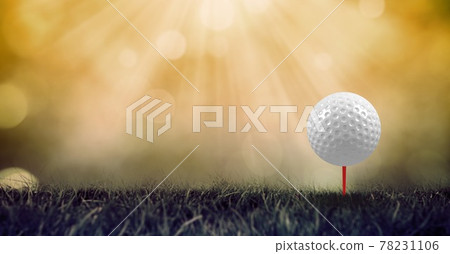Composition of golf ball in grass on red tee and copy space Composition of golf ball in grass on red tee and copy space 78231106