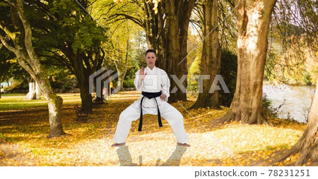 Composition of female martial karate artist with black belt practicing in park with copy space Composition of female martial karate artist with black belt practicing in park with copy space 78231251