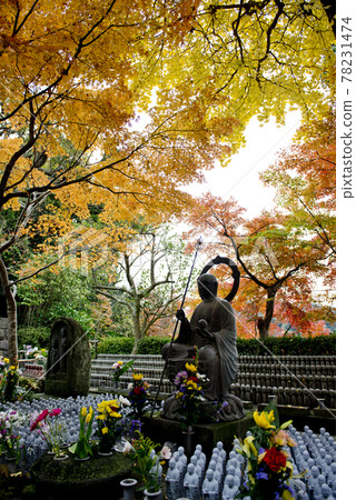 Hase Kannon and Autumn Leaves at Hasedera Temple in Kamakura Hase Kannon and Autumn Leaves at Hasedera Temple in Kamakura 78231474