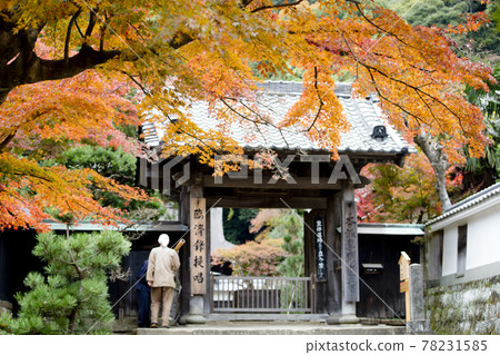圓覺寺、北鎌倉紅葉 78231585