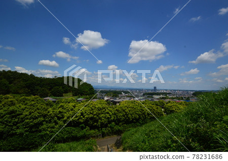 The early summer of Hachioji Yarimizu Silk Road looks like this 78231686