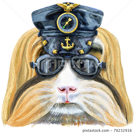 Watercolor portrait of Sheltie Guinea Pig wearing a leather cap and biker glasses on white background Watercolor portrait of Sheltie Guinea Pig wearing a leather cap and biker glasses on white background 78232916