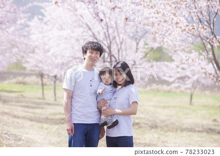 一家人在櫻花下玩耍 78233023