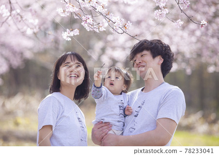 一家人在櫻花下玩耍 一家人在櫻花下玩耍 78233041