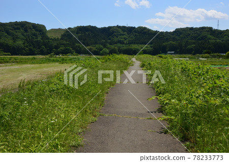 秋留野市小川的初夏是這樣的 秋留野市小川的初夏是這樣的 78233773