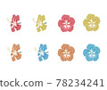 Hibiscus flowers 78234241