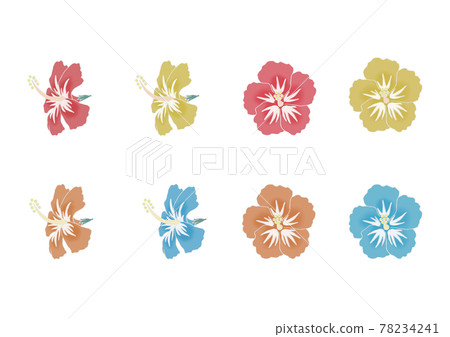 Hibiscus flowers 78234241