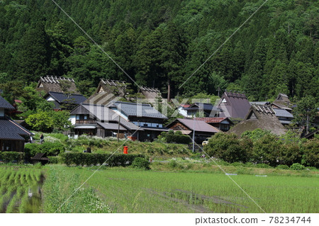 Kyoto Miyama Kayabuki no Sato Rice Planting Satsuki [Kyoto Prefecture] 78234744