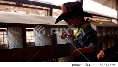Asian little boy farmer is holding fresh eggs on the hen farm Asian little boy farmer is holding fresh eggs on the hen farm 78234776