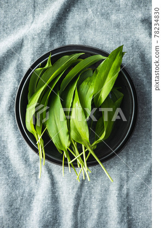 Green ramsons leaves. Wild garlic on plate. Green ramsons leaves. Wild garlic on plate. 78234830