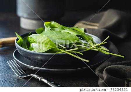 Green ramsons leaves. Wild garlic on plate. Green ramsons leaves. Wild garlic on plate. 78234831