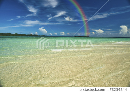 帕勞美麗的珊瑚礁海 78234844