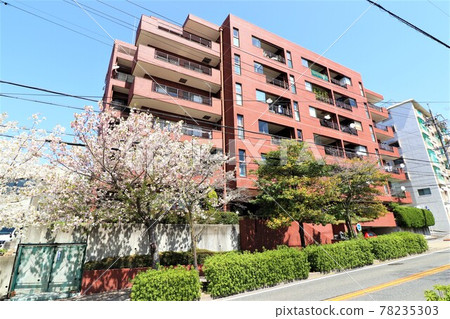 Lions Mansion Nekodo 78235303