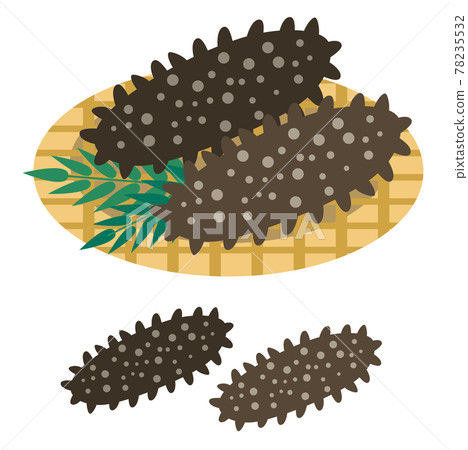 Sea cucumber illustration Sea cucumber illustration 78235532
